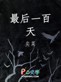最后一百天by木头盒子不理人txt